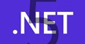 .NET 5.0
